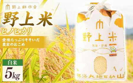 y2025N10{菇Jnzk ăqmqJ 5kg Ђ̂Ђ     Y BY  ͎s