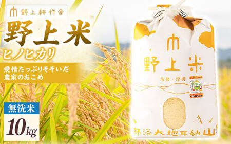 y2025N10{菇Jnzk ăqmqJ 10kg Ђ̂Ђ     Y BY  ͎s