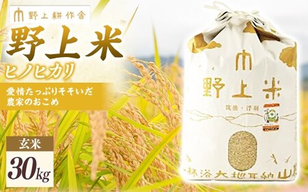 y2025N10{菇Jnzk ăqmqJ 30kg Ђ̂Ђ     Y BY  ͎s