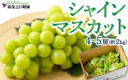 ys\z ΔV VC}XJbg 4[5[ i2kgj y2026N8{`9{菇\z  Ԃǂ uhE 햳 Ȃ 嗱 ʕ  t[c ʎ ~l