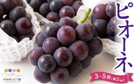 ys\z`Ԃǂ sI[l 3[5[ i2kgj y2026N7{`8{菇\z  Ԃǂ uhE ʕ  t[c ʎ  ͎s ①