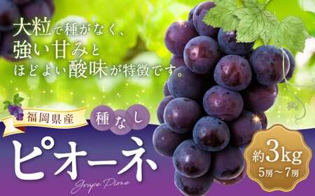 [先行予約] 宝玉農園 ピオーネ 5房〜7房 (約3kg) [2026年8月下旬〜9月上旬より順次発送予定] 葡萄 ぶどう ブドウ 大粒 種無し 種なし 果物 くだもの フルーツ 果実 お取り寄せ 福岡県 うきは市 冷蔵