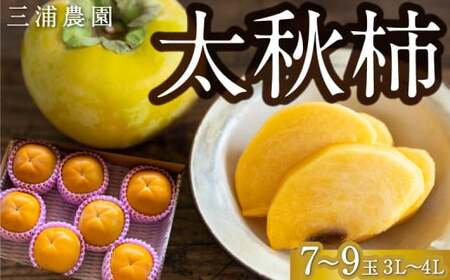 ys\z OY_ H` 7ʂ9 i3L4Lj y2026N10{10{ oח\z `  JL H イ SÊ` ʕ  t[c ʎ W[V[ 