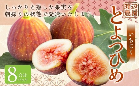 iƂ݂Ђ߁j8pbNy2026N7{`8{\z  t[c ʕ  ①  ͎s