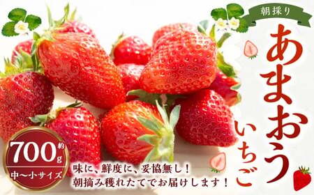 �y4�����ցz �悩���񂢂��� 2�i�܂���3�i��H�ה�׃Z�b�g �y2026�N1����{�`4�����{ �����o�ח\��z �悩����� � ������ �C�`�S �ʕ� �ʎ� �t���[�c �H�ה�� �Z�b�g ����� ��B ����