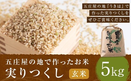 五庄屋の地で作った お米 実りつくし 玄米 5kg 米 ご飯 国産 九州産 福岡県 うきは市 [2026年1月下旬発送開始]