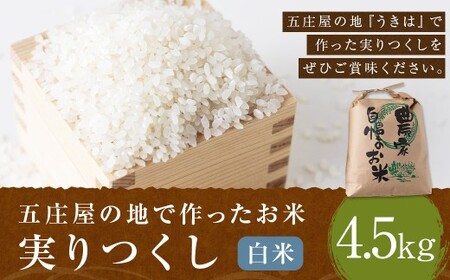 五庄屋の地で作った お米 実りつくし 白米 4.5kg 米 ご飯 国産 九州産 福岡県 うきは市 [2026年1月下旬発送開始]