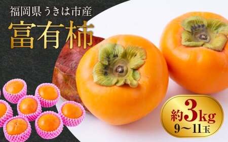 【先行予約】西見柿農園 富有柿 9玉から11玉 (約3kg) 【2026年11月上旬-12月上旬発送予定】 柿 かき カキ 果物 くだもの フルーツ 果実 ジューシー お取り寄せ 福岡県 うきは市