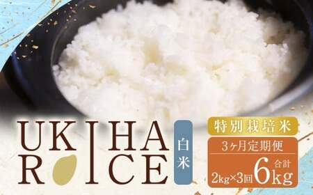[3ヶ月定期便]みずほファーム UKIHA RICE 白米2kg×3回 計6kg(特別栽培米) 白米 精米 栽培米 お米 米 ご飯 主食 白飯 ヒノヒカリ 定期便 福岡県 うきは市