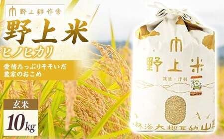 【2025年10月下旬より順次発送開始】野上耕作舎 野上米ヒノヒカリ 玄米10kg ひのひかり 玄米 米 お米 ご飯 国産 九州産 福岡県 うきは市