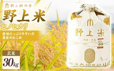 【2025年10月下旬より順次発送開始】野上耕作舎 野上米ヒノヒカリ 玄米30kg ひのひかり 玄米 米 お米 ご飯 国産 九州産 福岡県 うきは市