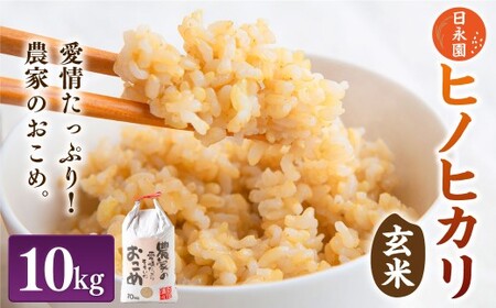 日永園 ヒノヒカリ 玄米10kg [2025年11月下旬より発送予定] 米 お米 ご飯 うきは市