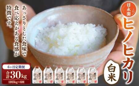 【6ヶ月定期便】日永園 ヒノヒカリ 白米5kg×6ヶ月 【2025年11月下旬より発送予定】 米 お米 ご飯  うきは市