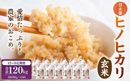 [12ヶ月定期便]日永園 ヒノヒカリ 玄米 10kg×12ヶ月 [2025年11月下旬より発送予定] 米 お米 ご飯 うきは市