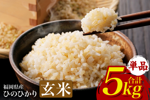 [ふるさと納税]ひのひかり 米 お米 玄米 5kg 5キロ 福岡県産 うきは市 国産 精米 ご飯 ごはん おにぎり お弁当 人気 おすすめ 家庭用 送料無料 新米 ストック 厳選 農家直送 大容量[JA福岡くるめ にじの耳納の里]