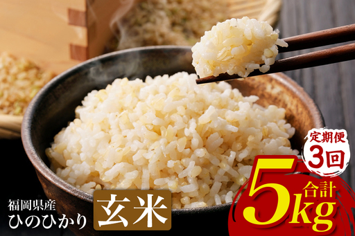 [3回定期便]ひのひかり 米 お米 玄米 5kg 5キロ 福岡県産 うきは市 国産 精米 ご飯 ごはん おにぎり お弁当 人気 おすすめ 家庭用 送料無料 新米 ストック 厳選 農家直送 大容量[JA福岡くるめ にじの耳納の里]