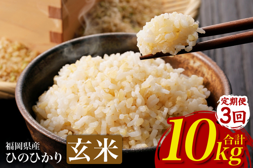 [3回定期便][ふるさと納税]ひのひかり 米 お米 玄米 10kg 10キロ 福岡県産 うきは市 国産 精米 ご飯 ごはん おにぎり お弁当 人気 おすすめ 家庭用 送料無料 新米 ストック 厳選 農家直送 大容量[JA福岡くるめ にじの耳納の里]