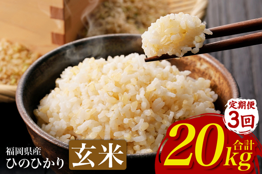 [3回定期便][ふるさと納税]ひのひかり 米 お米 玄米 20kg 20キロ 福岡県産 うきは市 国産 精米 ご飯 ごはん おにぎり お弁当 人気 おすすめ 家庭用 送料無料 新米 ストック 厳選 農家直送 大容量[JA福岡くるめ にじの耳納の里]