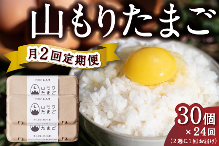 【月2回定期便】山もりたまご 30個 月2回 (2週に1回) 12ヶ月お届け