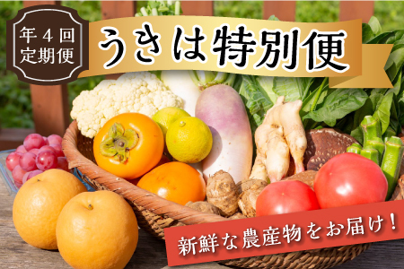 【年4回定期便】うきは特別便 季節の特産品詰め合わせ 各2kg×4回 (1月・6月・8月・11月) お届け