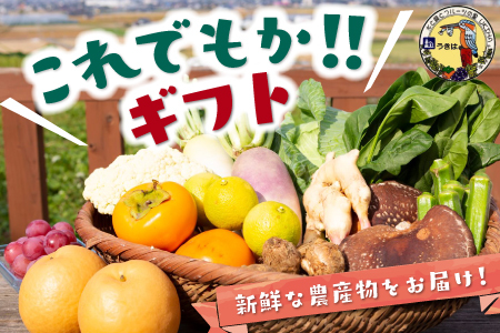 道の駅 うきは これでもか!! ギフト (新鮮な農産物・特産品 約4.5kg) 野菜 ベジタブル 果物 くだもの フルーツ 農産物 特産品 特産 新鮮 フレッシュ 朝採れ 詰め合わせ 詰合せ セット ミックス お取り寄せ 福岡県 うきは市