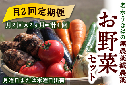 [月2回定期便]UIC 名水うきはの無農薬減農薬お野菜セット (ひと月2回×2か月=計4回)