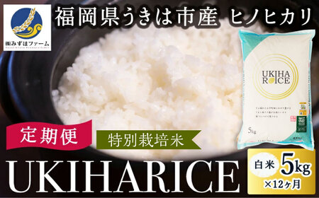 [12ヶ月定期便]みずほファーム UKIHA RICE (白米5kg×12ヶ月) [特別栽培米] [2025年11月より順次発送予定] 米 ヒノヒカリ お米 ご飯 うきは市
