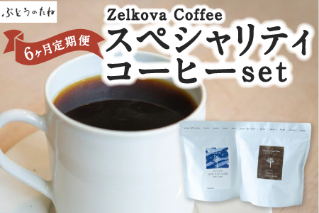 P570-04 [6ヶ月定期便]Zelkova Coffee スペシャルティコーヒーset