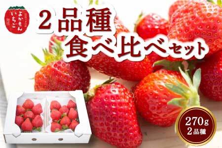 よかもんいちご 2品種食べ比べセット 2024年12月上旬から12月下旬 出荷予定