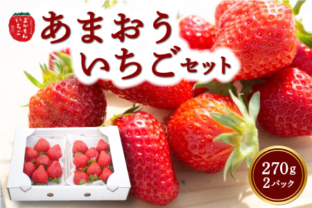 よかもんいちご あまおう苺セット2パック 2024年12月中旬から12月下旬 出荷予定