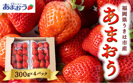 N ܂C`S (300g×4pbN) 3͂ ܂  C`S  t[c ʕ ①   ͎s y2026N3菇\z