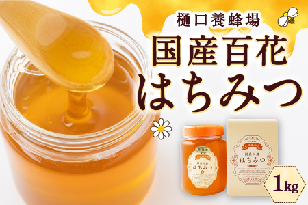 {I YSԂ݂͂ 1kg@nj[ I n`~c