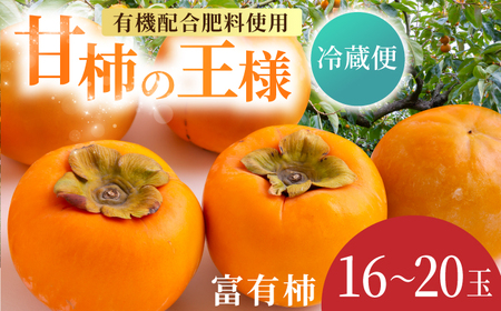 ys\zL@z엿gp ①xL` 16ʂ20 2025N12{2026N1{ oח\ytz `  Ê` Â ʕ t[c