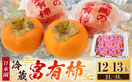 i ①xL` 12ʂ13(2L3LTCY) y2025N12{2026N2{oח\z ` t[c ʕ