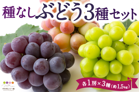 [先行予約]中村柿ぶどう園 種なしぶどう3種セット 各1房×3種 (約1.5kg) 2025年7月下旬から9月上旬 出荷予定
