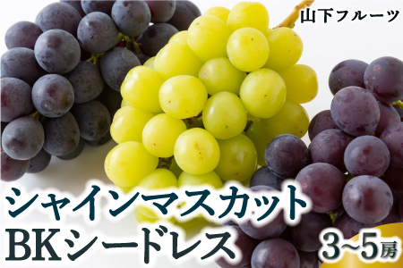 [先行予約]山下フルーツ シャインマスカットとBKシードレスの詰め合わせ 3房から5房 2025年8月中旬から9月中旬 出荷予定