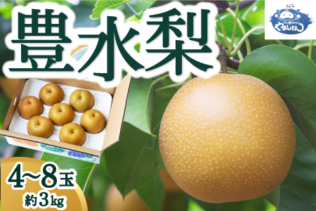 [先行予約]やまんどん 豊水梨 4玉から8玉 (約3kg) 2025年8月下旬から9月上旬 出荷予定