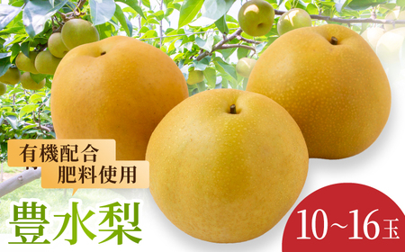 【先行予約】有機配合肥料使用 豊水梨 10玉から16玉 2025年8月中旬から8月下旬 出荷予定【春光園】 梨 なし 果物 フルーツ