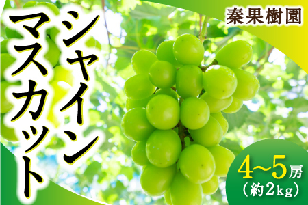 [先行予約]秦果樹園 シャインマスカット 4房から5房 (約2kg) 2025年8月下旬から9月中旬 出荷予定