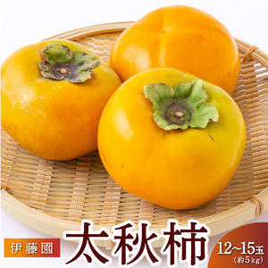 [先行予約]伊藤園 太秋柿 12玉から15玉 約5kg [2025年10月中旬から10月下旬出荷予定] / 富有柿 柿 果物 フルーツ くだもの うきは市