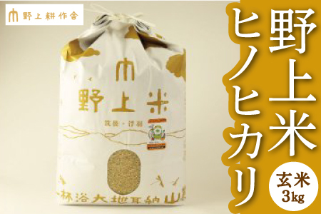 [指定日必須]野上耕作舎 野上米ヒノヒカリ 玄米3kg ひのひかり 玄米 米 お米 ご飯 国産 九州産 福岡県 うきは市