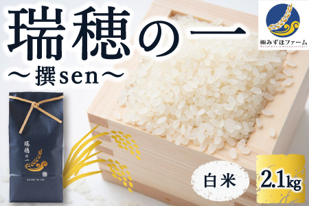 みずほファーム「瑞穂の一 “撰sen"」白米2.1kg 2024年11月より順次出荷予定