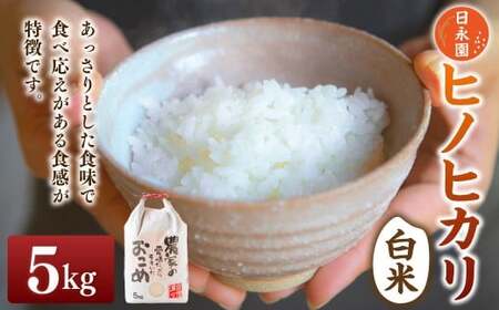 i qmqJ 5kg y2025N11{蔭\z     ͎s