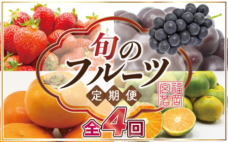 【定期便】宮若市旬のフルーツ定期便【全４回】 ブランド いちご ぶどう みかん 柿 大人気 NO1 限定品 高級 フルーツ 果物 くだもの 特別 冷蔵 プレゼント 九州 福岡 宮若市 ふるさと納税 おすすめ 送料無料 M763