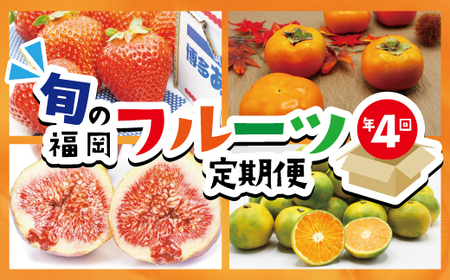 【定期便】福岡県ブランドフルーツ定期便（年４回） ブランド いちご ぶどう みかん 柿 大人気 NO1 限定品 高級 フルーツ 果物 くだもの 特別 冷蔵 プレゼント 九州 福岡 宮若市 ふるさと納税 おすすめ 送料無料 M771