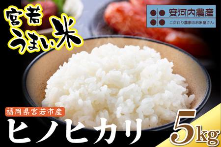 令和7年産　【先行予約】ヒノヒカリ 5kg　【10月下旬より順次発送】福岡県宮若産 〈安河内農産〉　[M790]　新米 宮若うまい米 精米 ブランド米 コメ ご飯 白米
