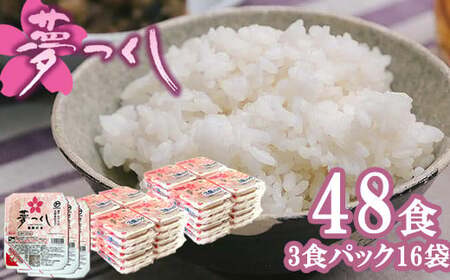 pbN 48H [M774-2] ͂  pbN Y BY Y { ` ۑH ~ H 퉷ۑ ֗