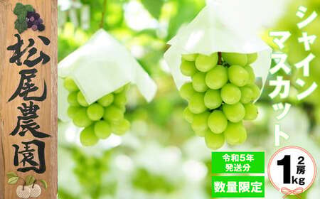 〈松尾農園〉シャインマスカット1kg(家庭用) [M528-2] 果物 果汁 ぶどう 高級 福岡 フルーツ 甘い マスカット 福岡県 宮若市 送料無料