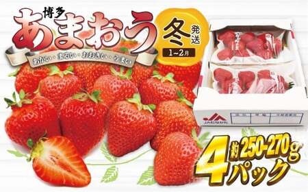 ys\zy2026N1{菇z܂ 250g~270g×4pbN[M868-1]