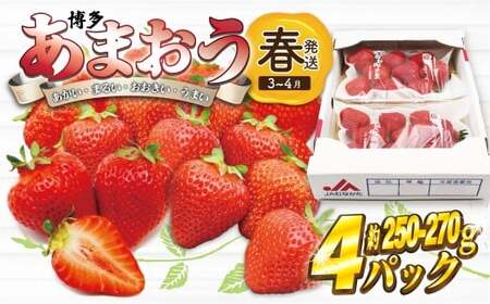 ys\zy2026N3{菇z܂ 250g~270g×4pbN[M869-1]